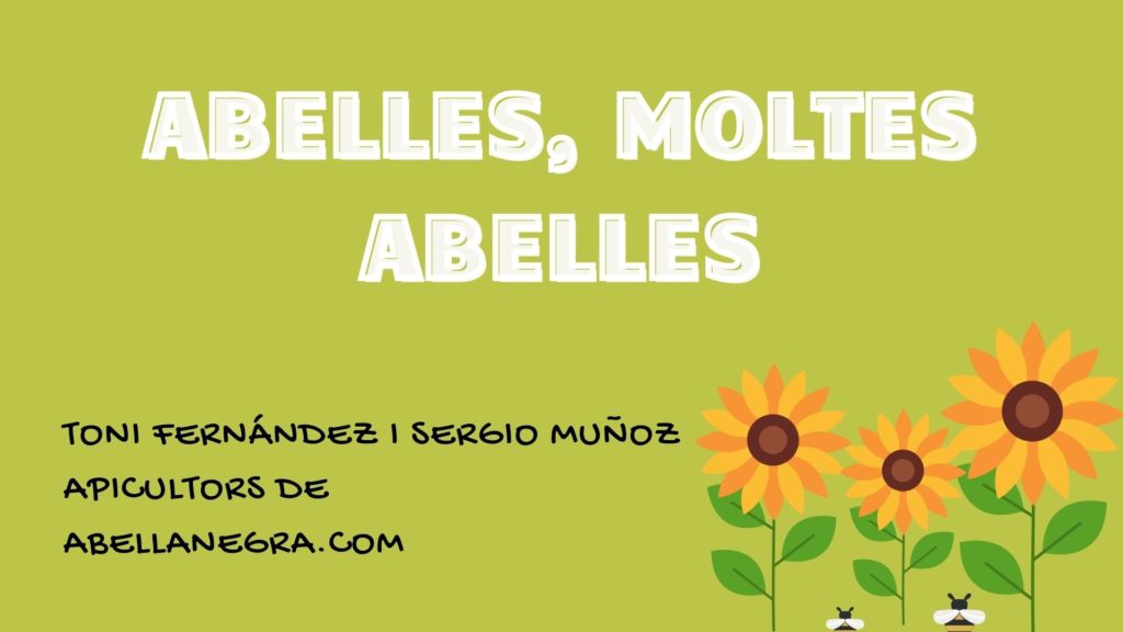 Abella negra IVAM
